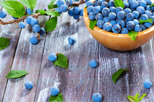 blueberries of the saguenay