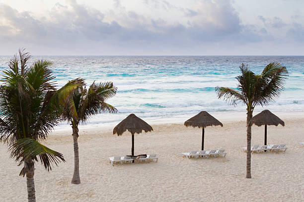istock Beach of the Caribbean Sea 465612915