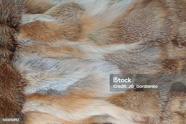 Fox Fur Texture Background Stock Photo - Download Image Now - Rug, Animal Hair, Fur