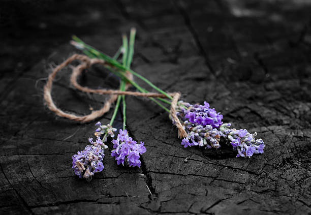 istock Lavender bundle on the wooden stump 465616085