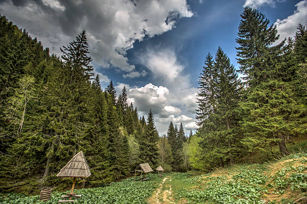 istock Kopaonik mountain in Serbia 465616776