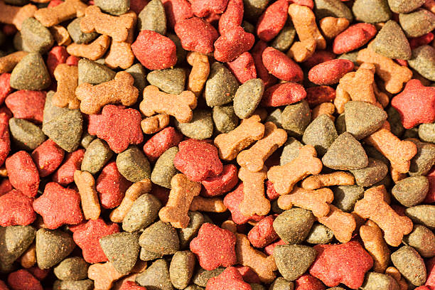 istock dog foods. 465617359