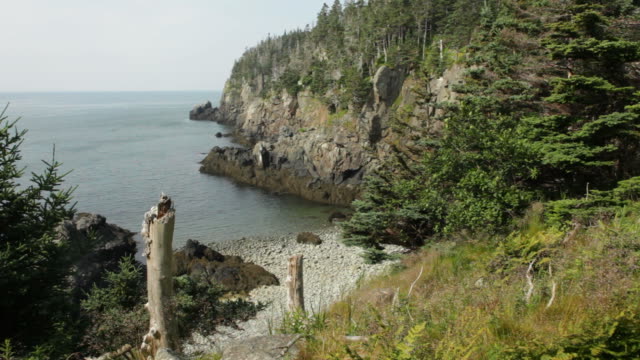 HD video Coastline cliffs Quoddy Head State Park Maine