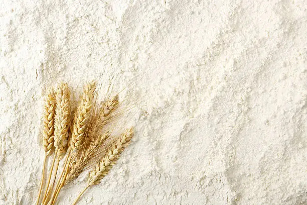 wheat ears on flour surface, full frame
