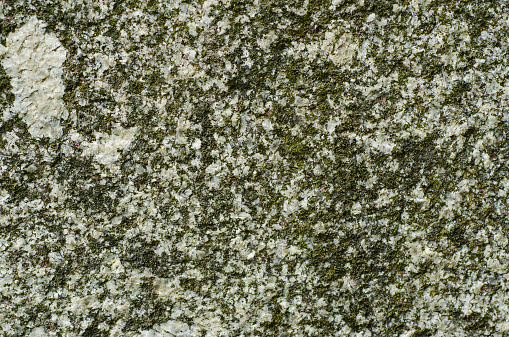 Granite grey grunge texture with green moss