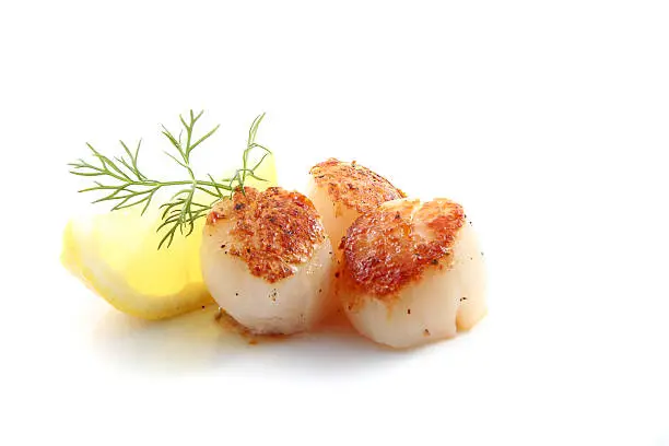 Pan seared scallops with dill and lemon isolated over a white background.