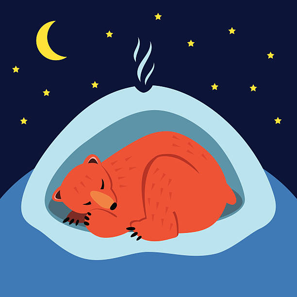 Sleeping bear A cute cartoon bear sleeping in the winter in his den hibernation stock illustrations