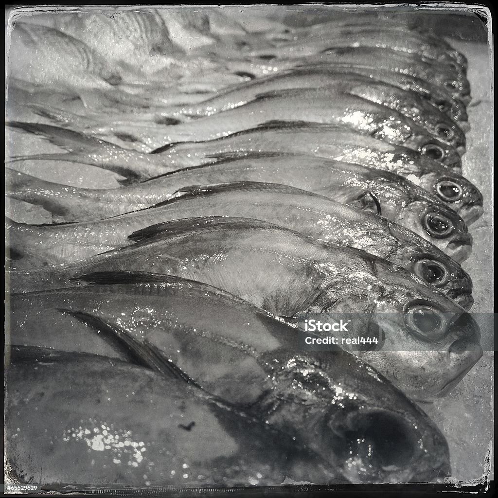 seafish - Foto de stock de Acuicultura libre de derechos