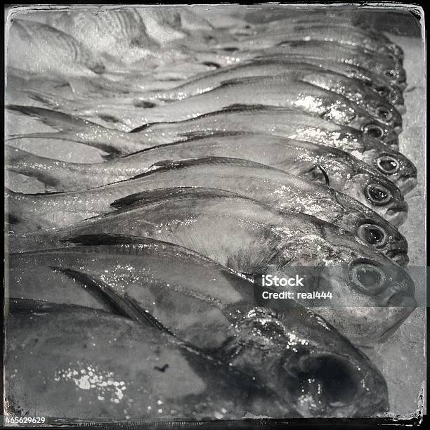 Seafish Foto de stock y más banco de imágenes de Acuicultura - Acuicultura, Al horno, Alimento