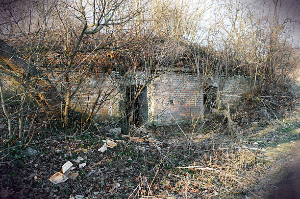 istock ruined fort in Przemysl Poland 465629792