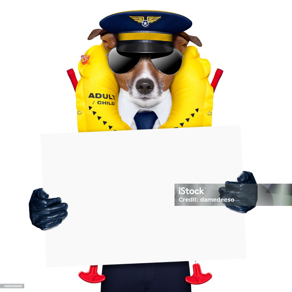 pilot Hund - Lizenzfrei Flugzeug Stock-Foto