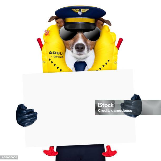 Pilot Hund Stockfoto und mehr Bilder von Flugzeug - Flugzeug, Schwimmweste, Abschied