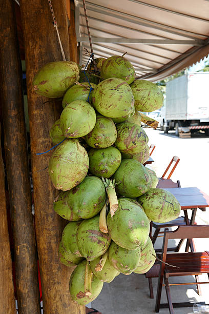 Unripe coconut shells for Agua de coco drink hanging up