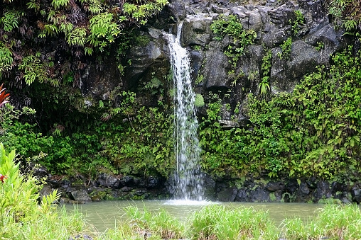 A small 15 foot falls on the Hana Highway in Hana, Maui, Hawaii
