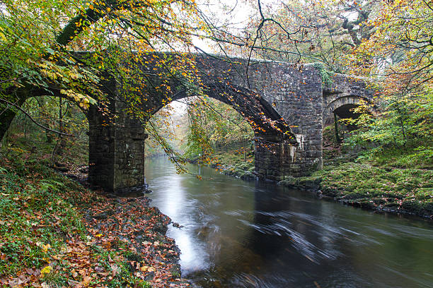istock Holne Bridge, Medieval stone crossing, river Dart, Dartmoor, Eng 465632864