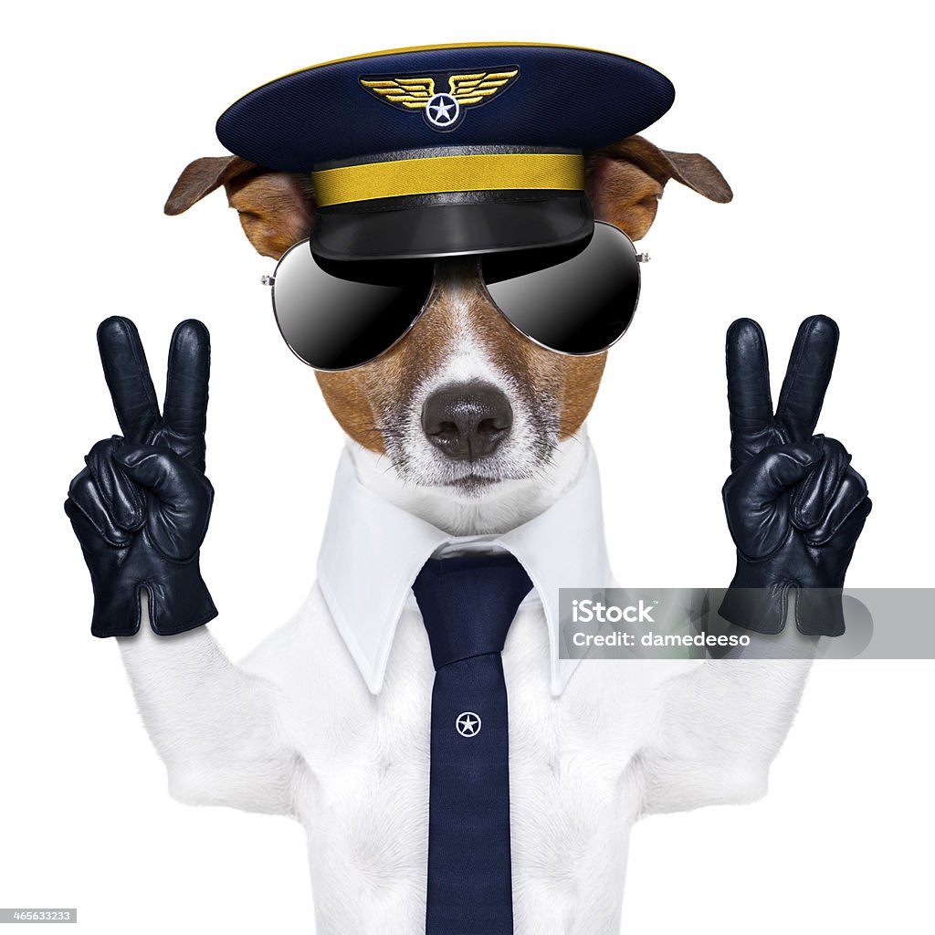 Piloto de Cachorro - Foto de stock de Avião royalty-free