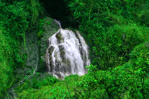A smaller waterfall on the Hana Highway in Hana, Maui, Hawaii