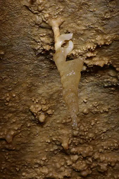 An oddity of cavern speleothem growths as this one emulates something; we anr not too sure what!