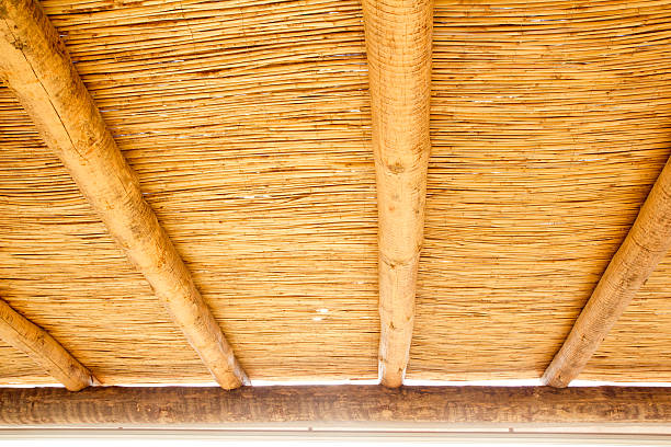istock Cane sunroof with round wood beams 465635914