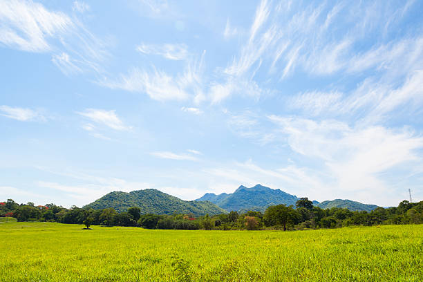 istock Field of green grass and sky 465636389