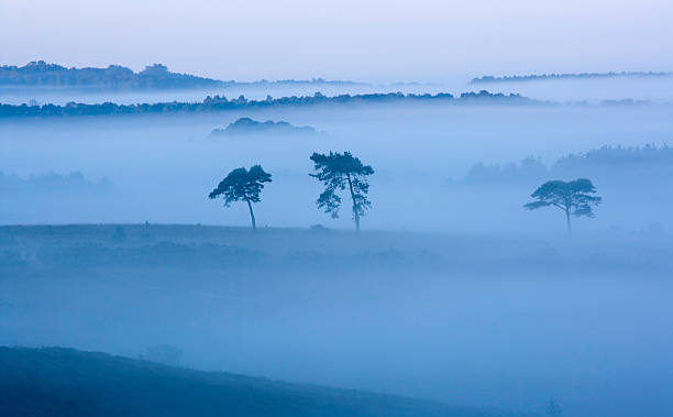 istock Early Morning Mist In Valley New Forest 465636493