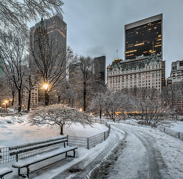 istock Central Park, New York City 465636814