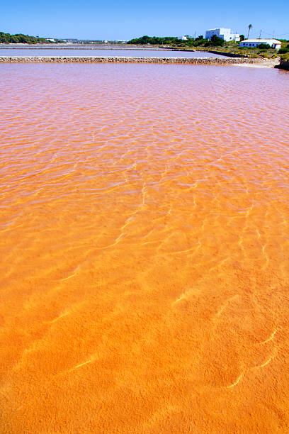 istock Formentera Ses Salines saltworks red water 465637114