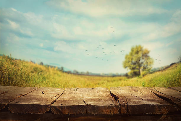 fondo de primavera - ambiente rústico fotografías e imágenes de stock