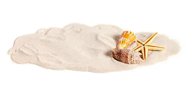 Seashells on a small strip of sand isolated on white background. Copy-space on the sand.