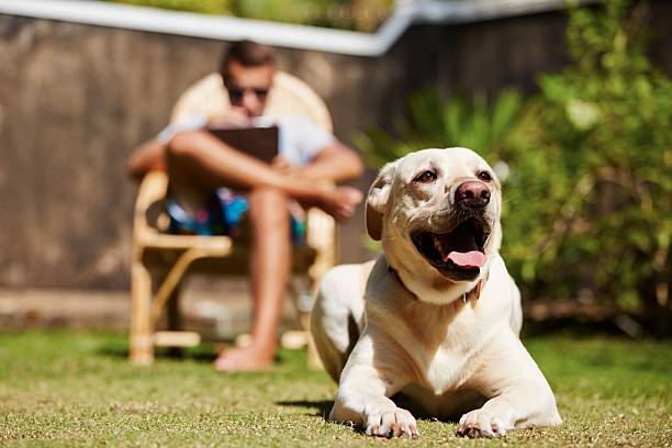istock Relax on the garden 465641023