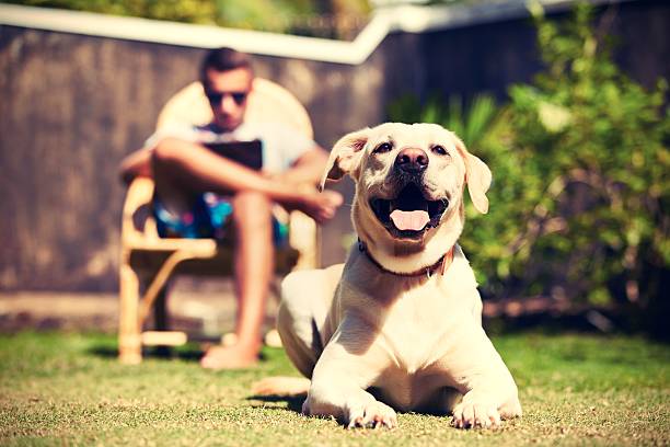 istock A man and his cute dog relax outside 465641911