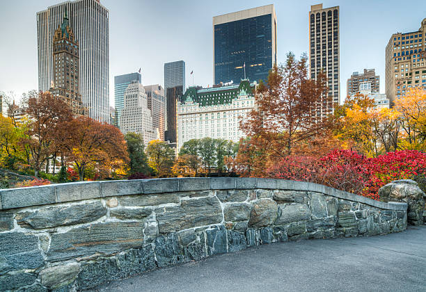 istock Gapstow bridge Central Park, New York City 465642752