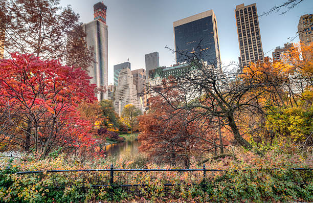 istock Central Park, New York City 465642756