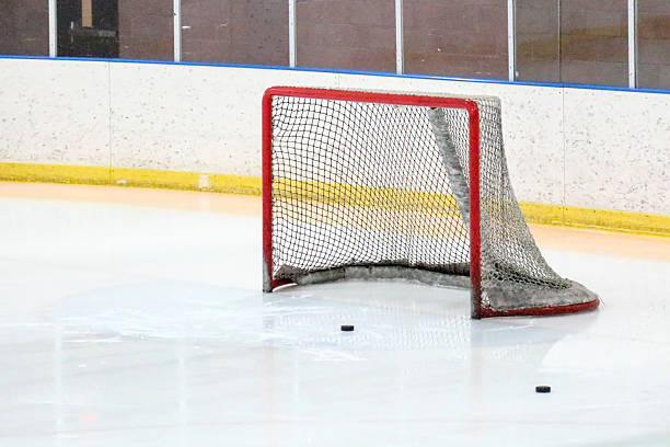 eishockey-pucks netto und zwei in einem der hockey rink - winter sport team sport hockey puck sport stock-fotos und bilder