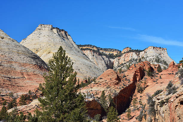 istock Scenery of Zion National Park 465645618