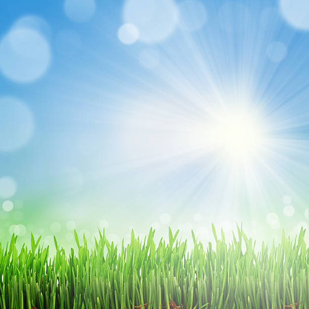 istock green and blue abstract defocused background with sunshine 465648928