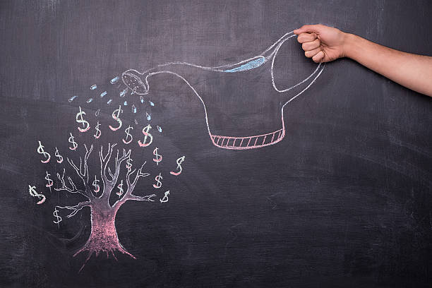 istock Hand watering dollar tree painted on chalkboard 465649796