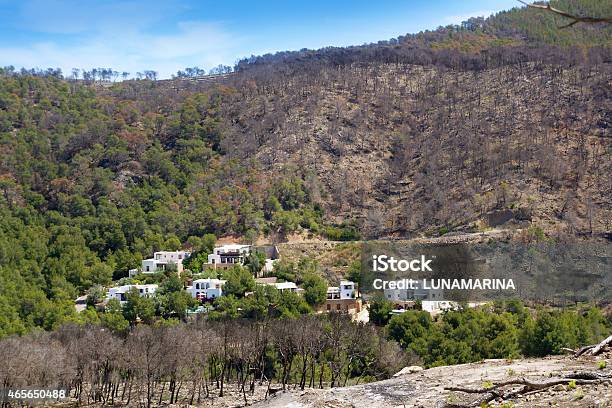 Ibiza After Fire In Spring 2011 Stock Photo - Download Image Now - 2011, 2015, Accidents and Disasters