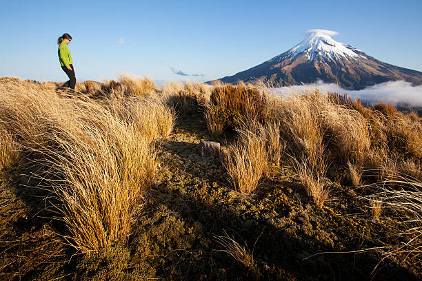 istock New Zealand trekking 465652125