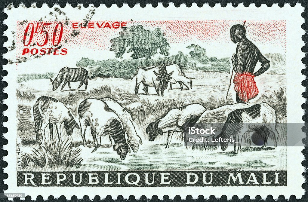 マリ stamp は羊のプール（1961 - アフリカのロイヤリティフリーストックフォト