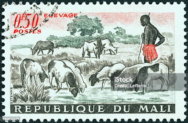 マリ Stamp は羊のプール1961 - アフリカのストックフォトや画像を多数ご用意 - アフリカ, 郵便切手, アフリカ文化