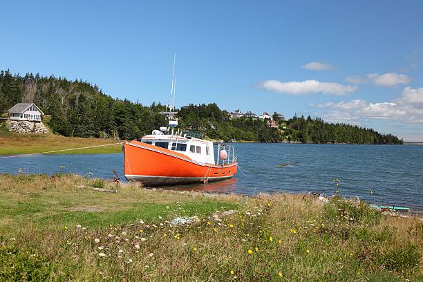 istock Fishing boat tied at the seashore 465652630