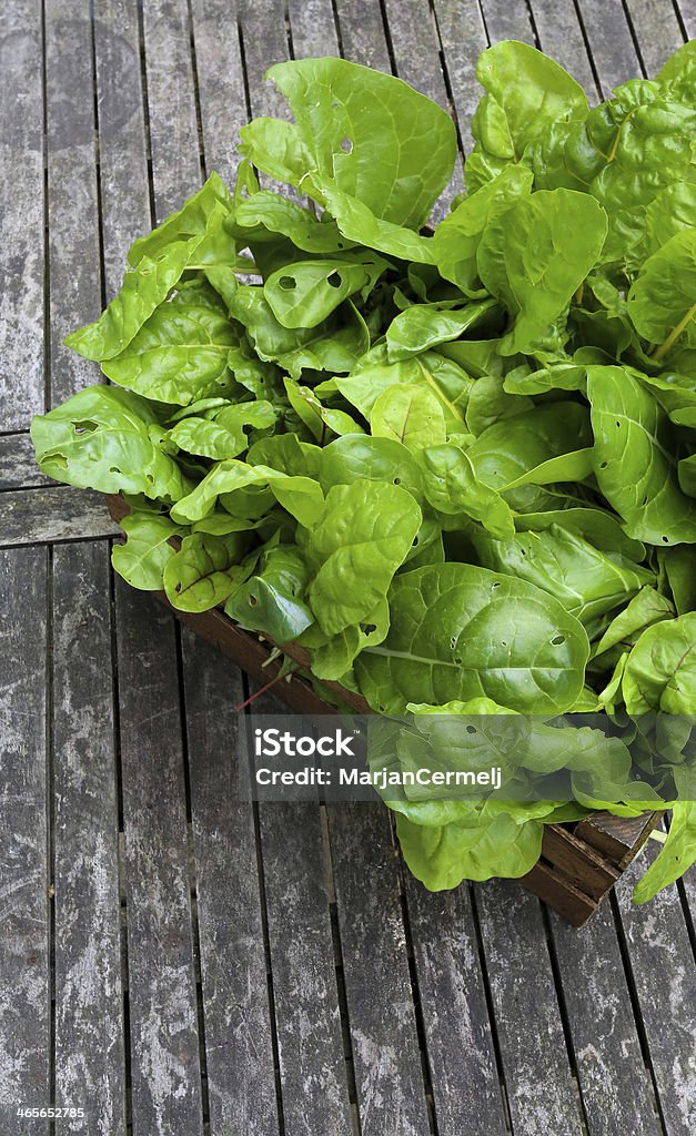 Cassa di crescita organica arcobaleno Bietola - Foto stock royalty-free di Alimentazione sana