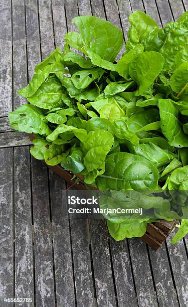 Cassa Di Crescita Organica Arcobaleno Bietola - Fotografie stock e altre immagini di Alimentazione sana - Alimentazione sana, Ambiente, Arancione