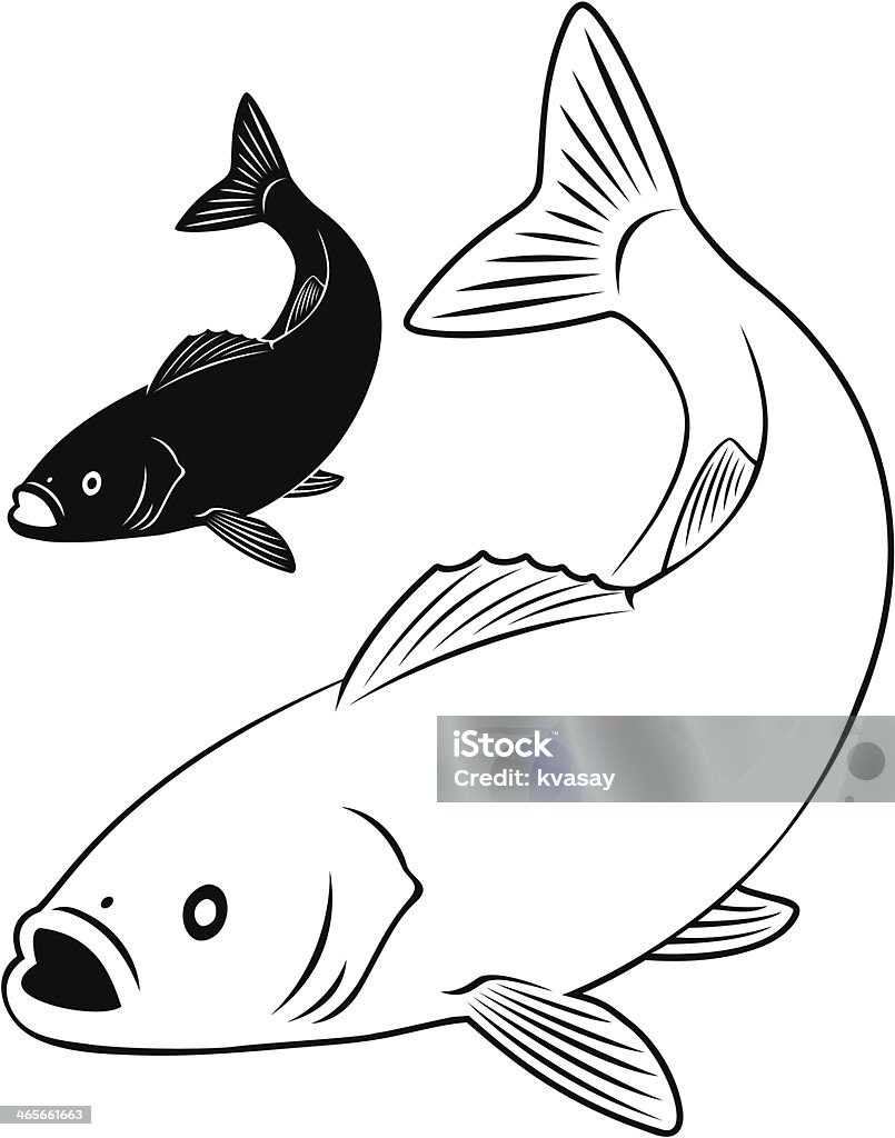 Loup de mer - clipart vectoriel de Loup de mer libre de droits
