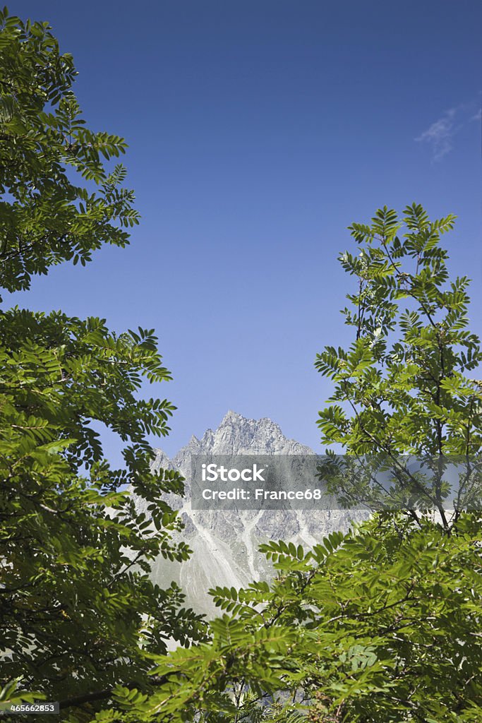 Spacerować Sils lake (Szwajcaria): Piz Lagrev na tle - Zbiór zdjęć royalty-free (Alpy)