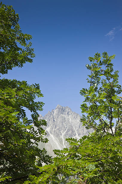 andar em torno de sils lago (suíça): piz lagrev no fundo - corvatsch imagens e fotografias de stock