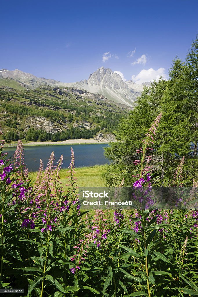 Caminhada ao redor do Lago Silser (Suíça) - Foto de stock de Lago Silvaplana royalty-free