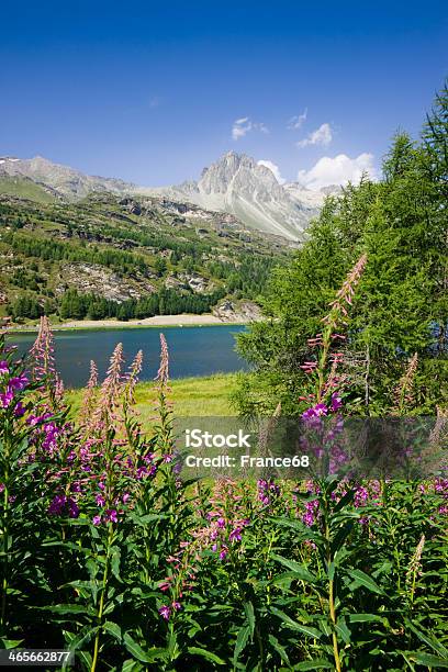 Foto de Caminhada Ao Redor Do Lago Silser e mais fotos de stock de Lago Silvaplana - Lago Silvaplana, Alpes de Engadine, Alpes europeus