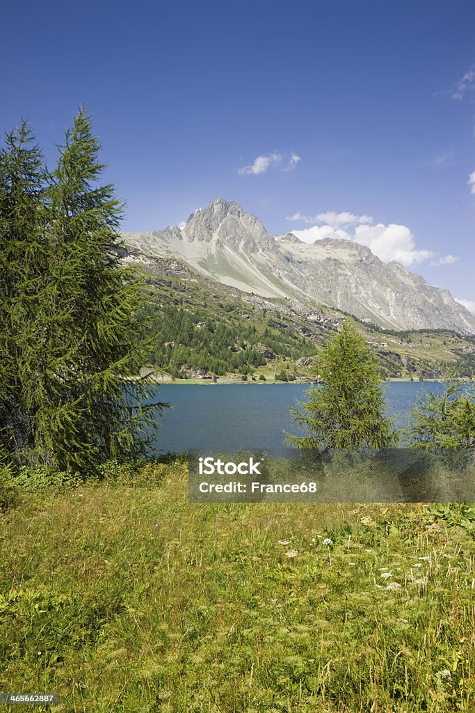 Andar em torno de Sils Lago (Suíça) - Royalty-free Alpes Europeus Foto de stock